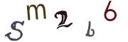 圖片的 CAPTCHA