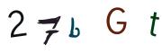 圖片的 CAPTCHA