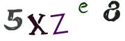 圖片的 CAPTCHA