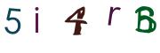 圖片的 CAPTCHA