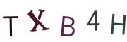 圖片的 CAPTCHA