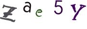 圖片的 CAPTCHA